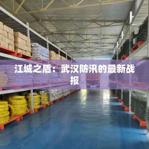 江城之盾:武汉防汛的最新战报