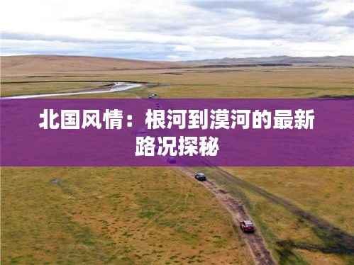 北国风情:根河到漠河的最新路况探秘