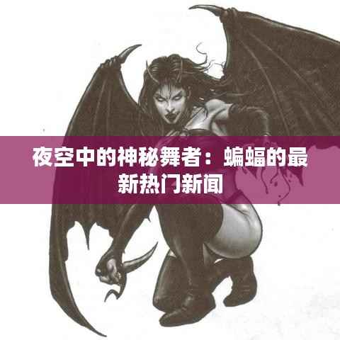 夜空中的神秘舞者：蝙蝠的最新热门新闻