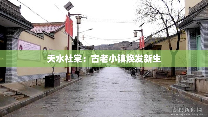 天水社棠:古老小镇焕发新生