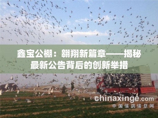 出境旅游 第292页