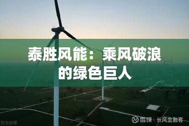 泰胜风能:乘风破浪的绿色巨人