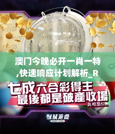 澳门今晚必开一肖一特,快速响应计划解析_RX版75.332-1