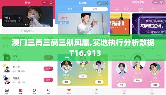 澳门三肖三码三期凤凰,实地执行分析数据_T16.913