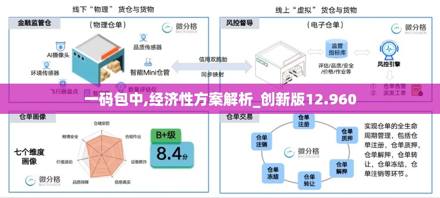 一码包中,经济性方案解析_创新版12.960