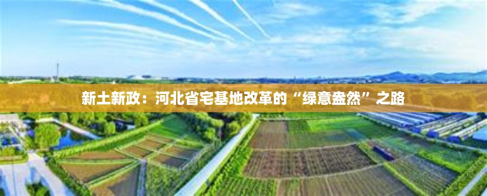 新土新政：河北省宅基地改革的“绿意盎然”之路