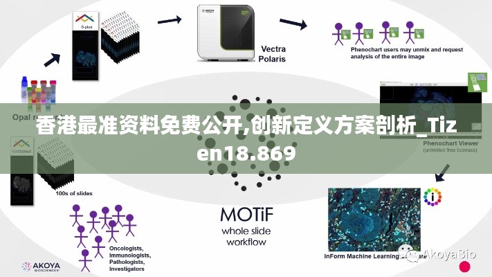 七贵三公 第4页