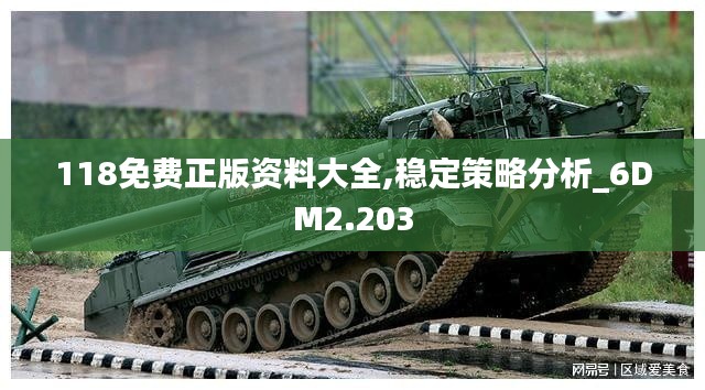 118免费正版资料大全,稳定策略分析_6DM2.203