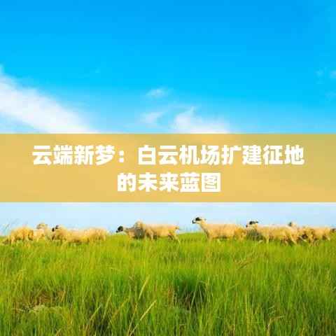 云端新梦:白云机场扩建征地的未来蓝图