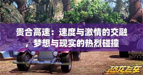 贵合高速：速度与激情的交融，梦想与现实的热烈碰撞