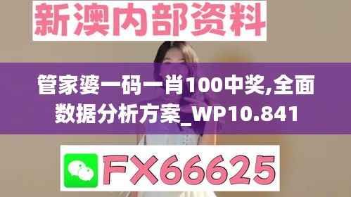 管家婆一码一肖100中奖,全面数据分析方案_WP10.841