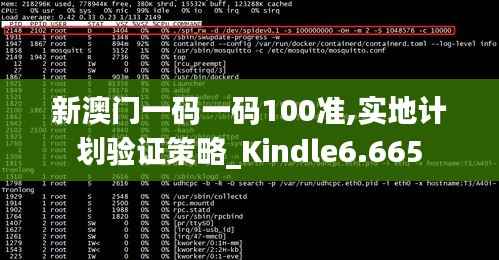 新澳门一码一码100准,实地计划验证策略_Kindle6.665