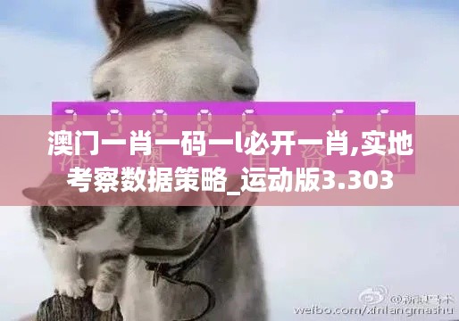 澳门一肖一码一l必开一肖,实地考察数据策略_运动版3.303