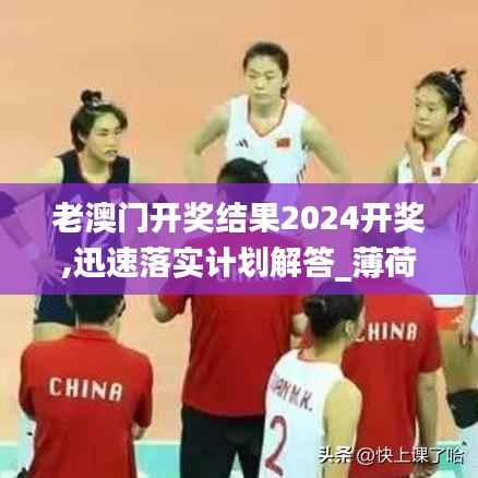 老澳门开奖结果2024开奖,迅速落实计划解答_薄荷版4.848