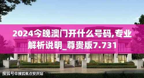 2024今晚澳门开什么号码,专业解析说明_尊贵版7.731