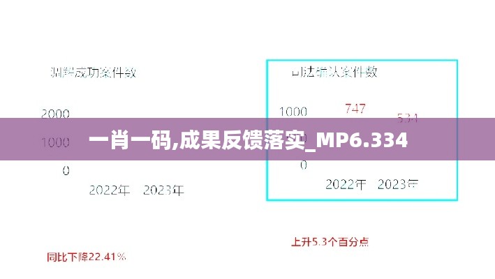 一肖一码,成果反馈落实_MP6.334