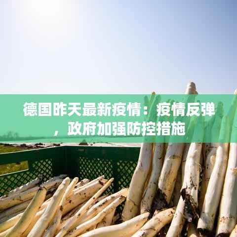 德国昨天最新疫情:疫情反弹,政府加强防控措施