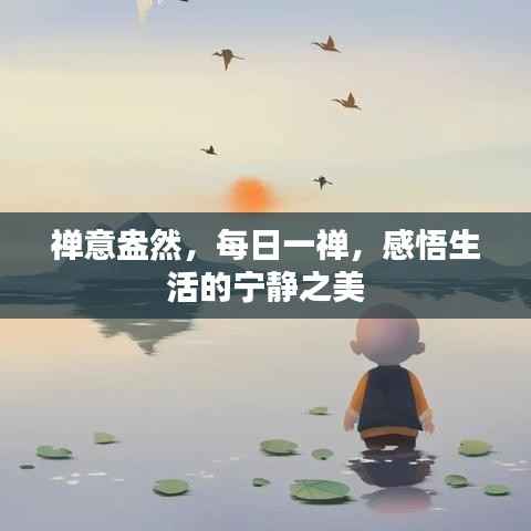 禅意盎然,每日一禅,感悟生活的宁静之美