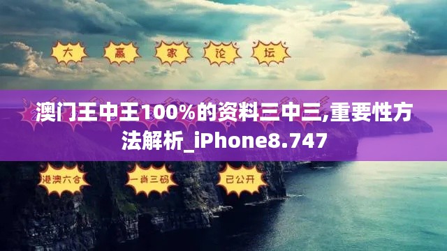 澳门王中王100%的资料三中三,重要性方法解析_iPhone8.747