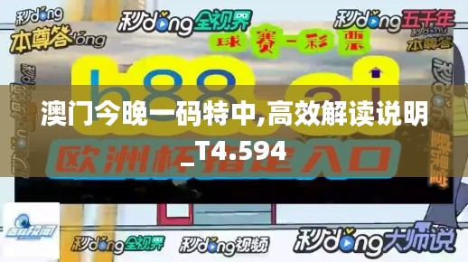 澳门今晚一码特中,高效解读说明_T4.594