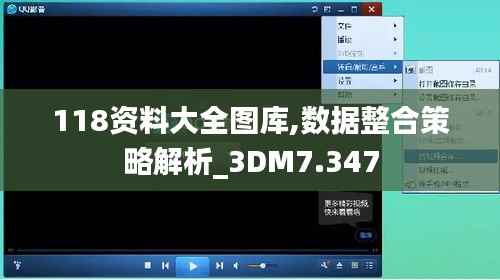 118资料大全图库,数据整合策略解析_3DM7.347