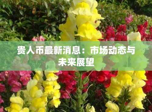 贵人币最新消息:市场动态与未来展望
