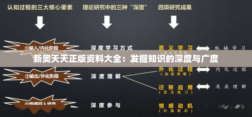 新奥天天正版资料大全:发掘知识的深度与广度