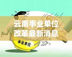 云南事业单位改革最新消息:深化变革,激发活力