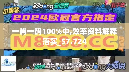 一肖一码100%中,效率资料解释落实_S7.724