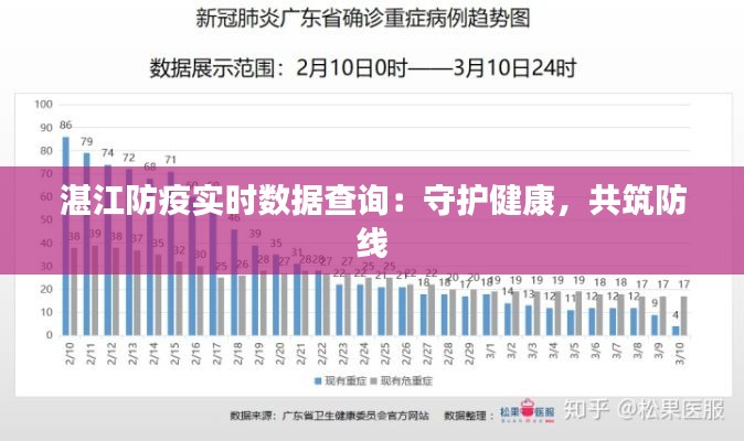 湛江防疫实时数据查询:守护健康,共筑防线
