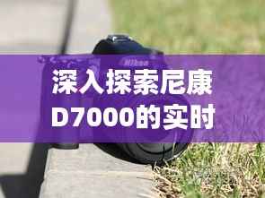 深入探索尼康D7000的实时取景功能:摄影新体验
