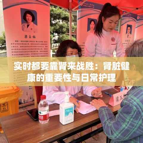 实时都要靠肾来战胜:肾脏健康的重要性与日常护理