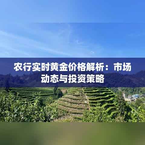 农行实时黄金价格解析:市场动态与投资策略