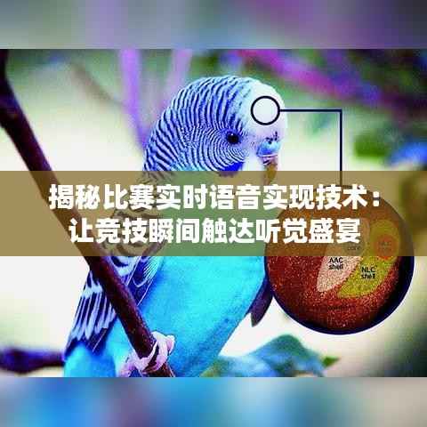 揭秘比赛实时语音实现技术：让竞技瞬间触达听觉盛宴