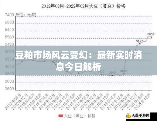 豆粕市场风云变幻:最新实时消息今日解析