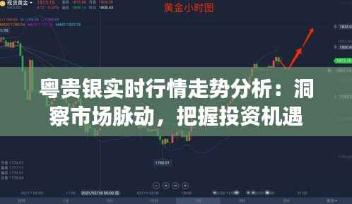 粤贵银实时行情走势分析:洞察市场脉动,把握投资机遇
