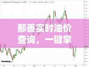 鄯善实时油价查询,一键掌握最新油市动态——鄯善油价查询表电话全解析