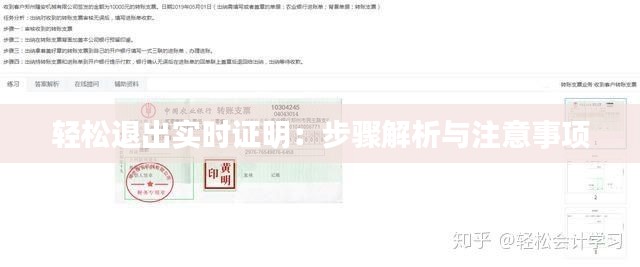 轻松退出实时证明：步骤解析与注意事项