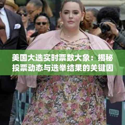 美国大选实时票数大象:揭秘投票动态与选举结果的关键因素