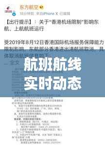航班航线实时动态:科技助力航空出行新体验