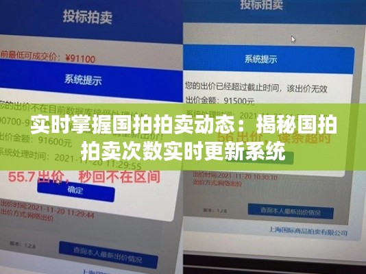 实时掌握国拍拍卖动态:揭秘国拍拍卖次数实时更新系统