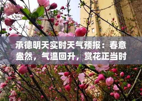 承德明天实时天气预报:春意盎然,气温回升,赏花正当时