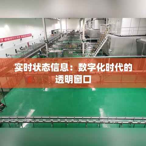实时状态信息:数字化时代的透明窗口