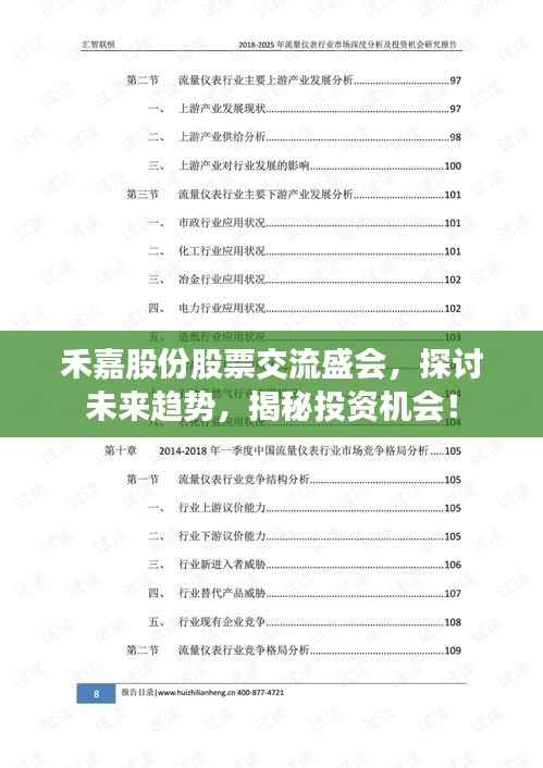 禾嘉股份股票交流盛会,探讨未来趋势,揭秘投资机会!