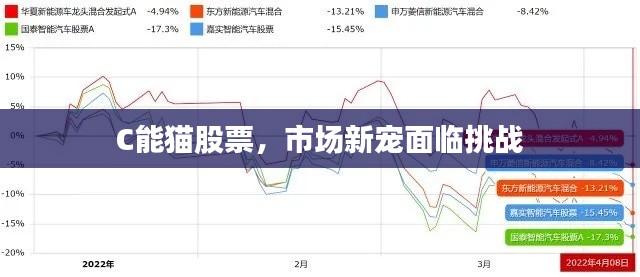 C能猫股票,市场新宠面临挑战