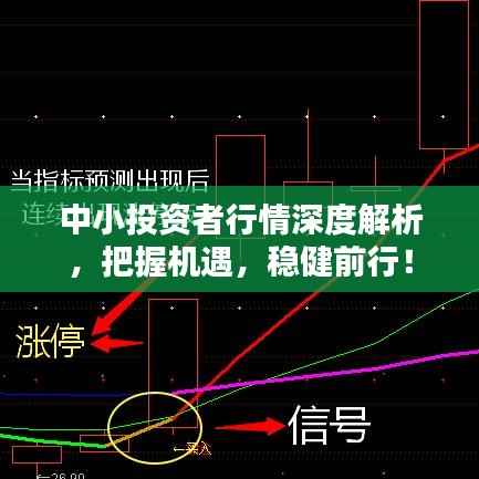 中小投资者行情深度解析,把握机遇,稳健前行!