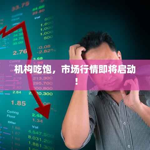 机构吃饱,市场行情即将启动!