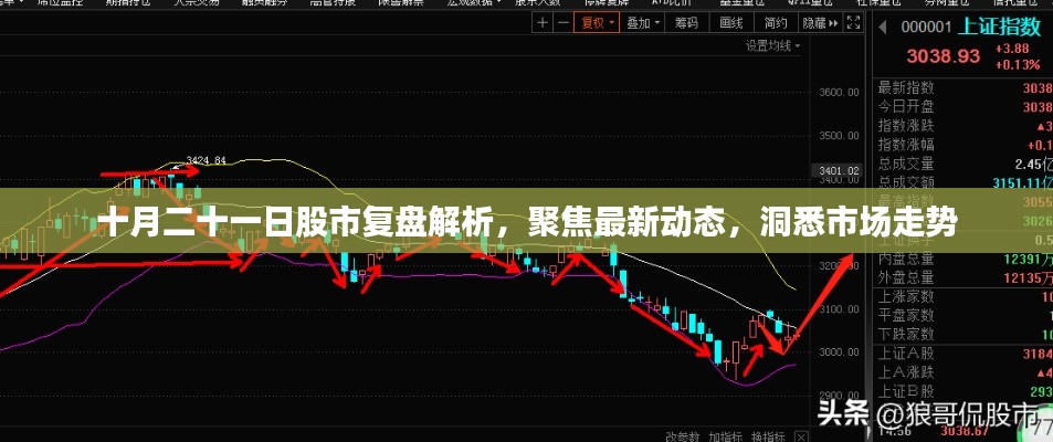 十月二十一日股市复盘解析,聚焦最新动态,洞悉市场走势