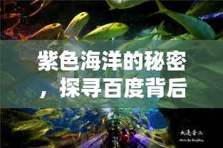 紫色海洋的秘密,探寻百度背后的神秘色彩
