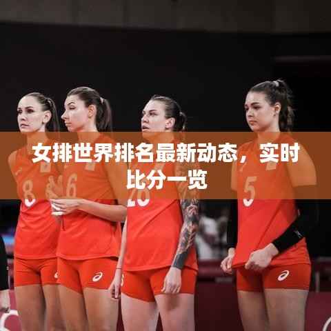 女排世界排名最新动态，实时比分一览